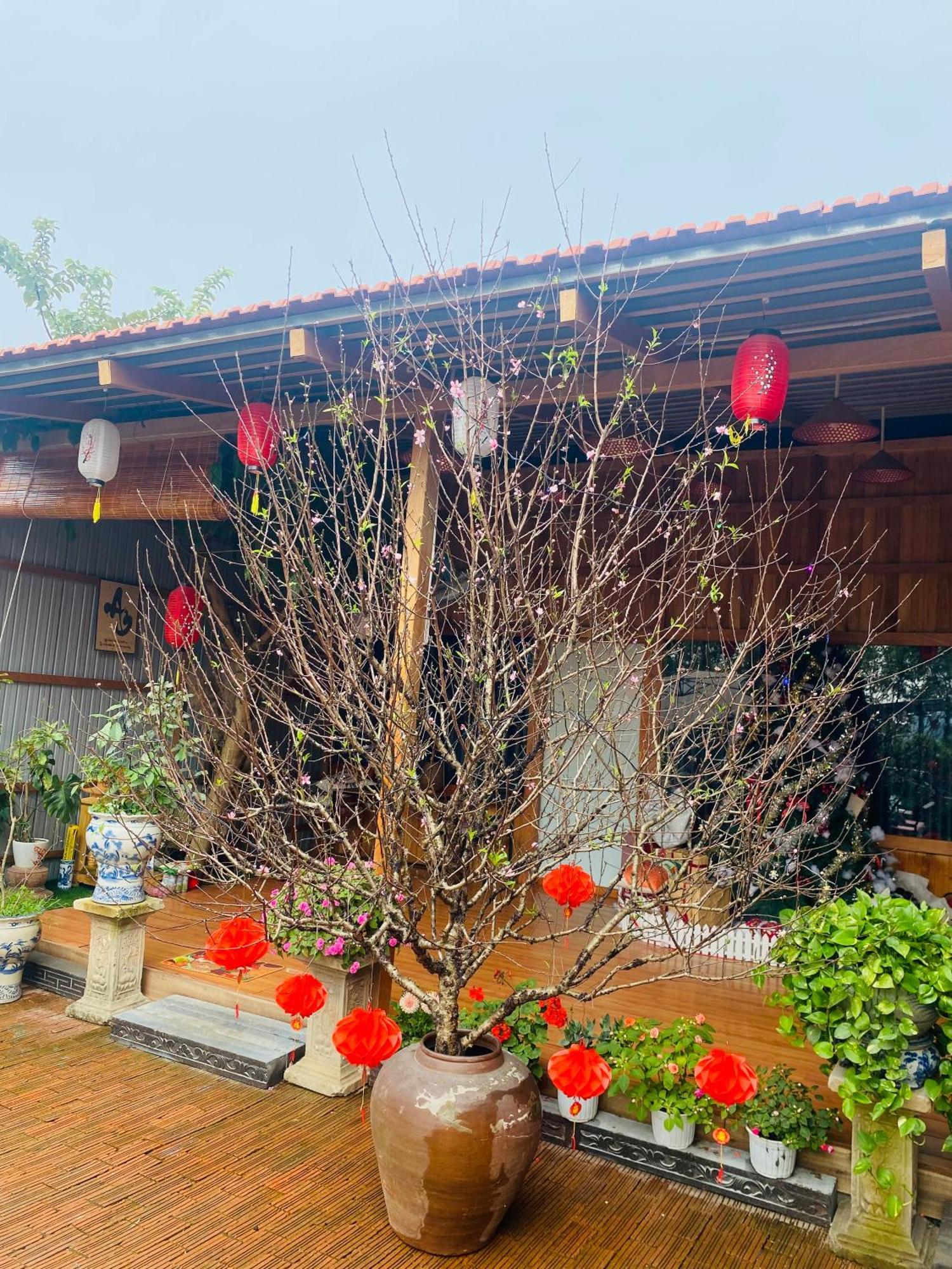 An Homestay Tam Coc 닌빈 외부 사진