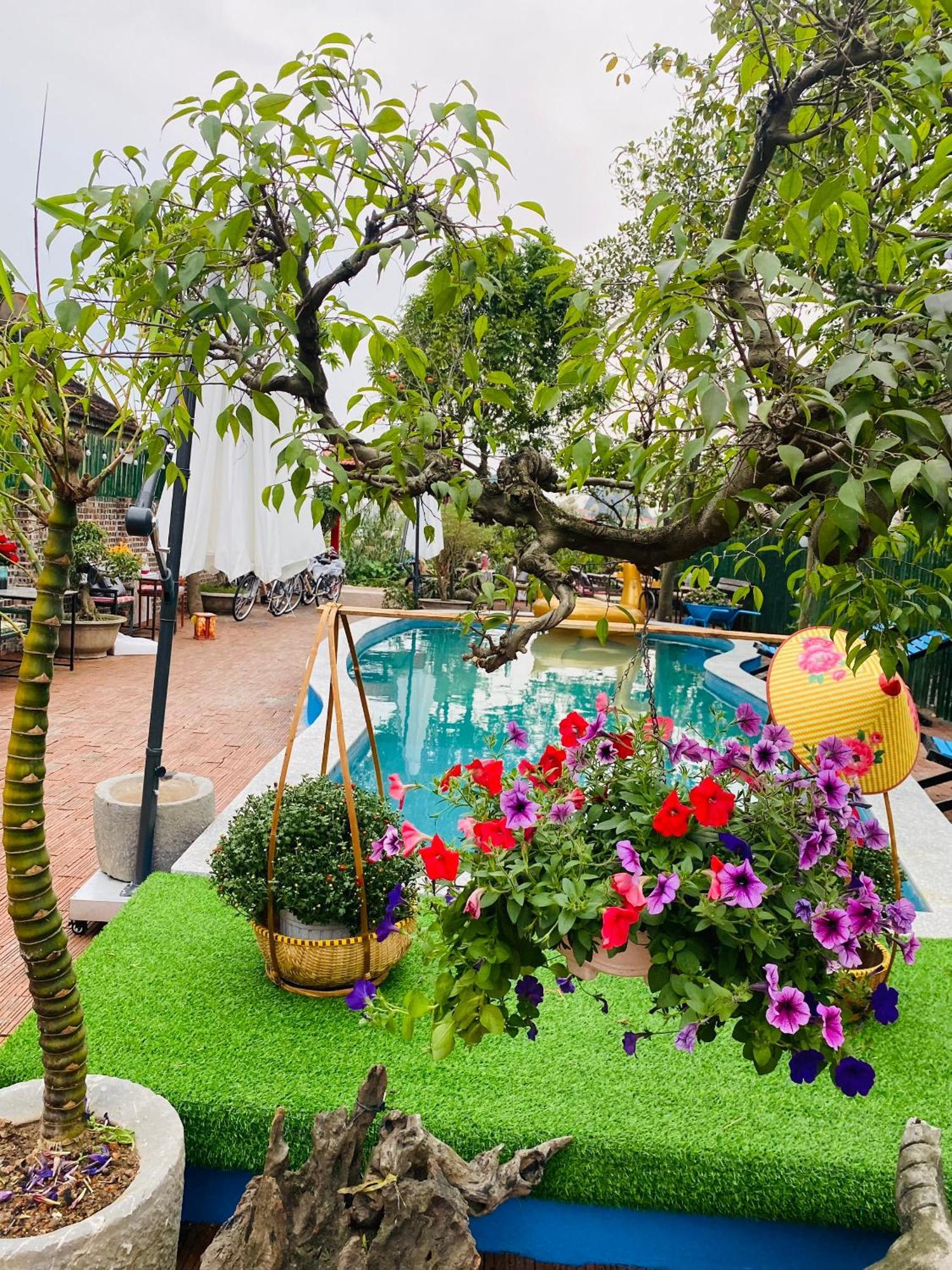 An Homestay Tam Coc 닌빈 외부 사진